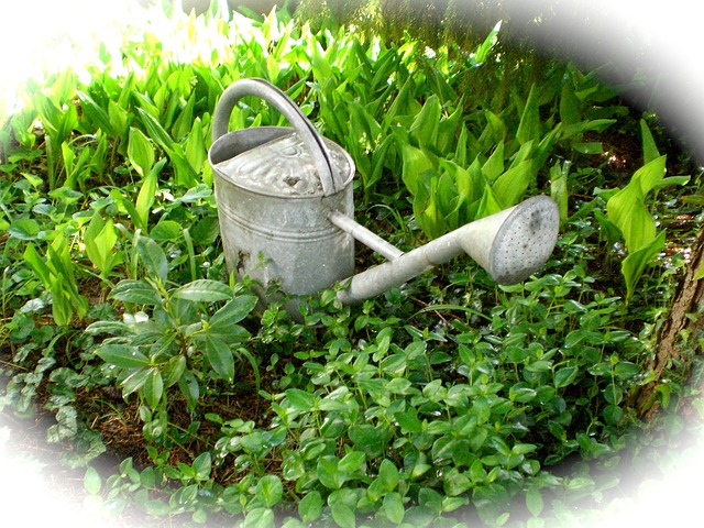 Eko zahrada nebo perfektně „střižená“ zahrada?